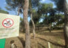 Grillverbot Wald Andalusien