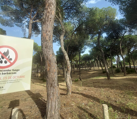 Grillverbot Wald Andalusien