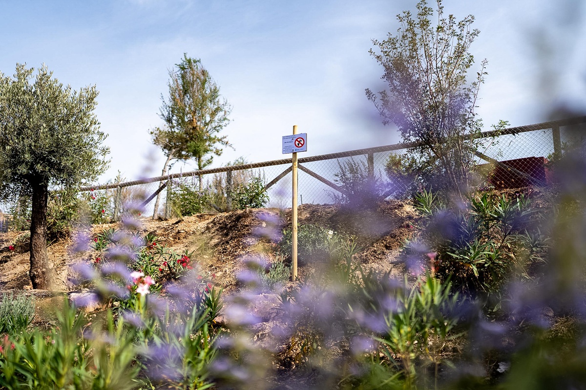 Pilotprojekt: Málaga bewässert Pflanzen am Peñón del Cuervo mit recyceltem Abwasser Wasserregeneration Málaga