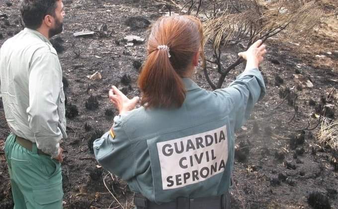 Seprona in Spanien - die älteste Umweltpolizei der Welt feiert Geburtstag Umweltpolizei Spanien