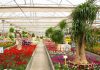 Gartencenter Viveros Guzmán