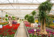 Gartencenter Viveros Guzmán
