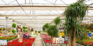 Gartencenter Viveros Guzmán