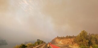 Waldbrand Tarragona Juli 2025
