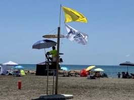 Quallen in Málaga
