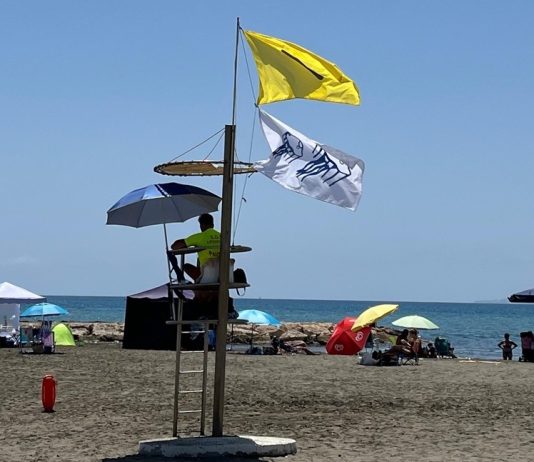 Quallen in Málaga