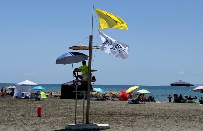 Gelbe-Flaggen Quallen in Málaga