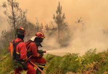 Waldbrände Spanien 2025