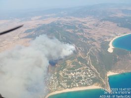 Waldbrand bei Tarifa