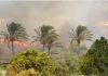 Waldbrand Benalmádena 2025