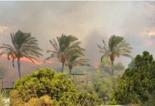 Waldbrand Benalmádena 2025