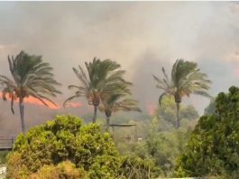 Waldbrand Benalmádena 2025