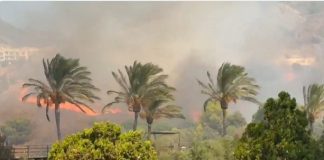 Waldbrand Benalmádena 2025