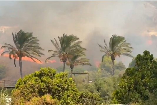 Waldbrand Benalmádena 2025