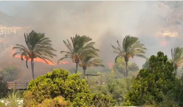 Waldbrand Benalmádena 2025 Waldbrand Benalmádena 2025
