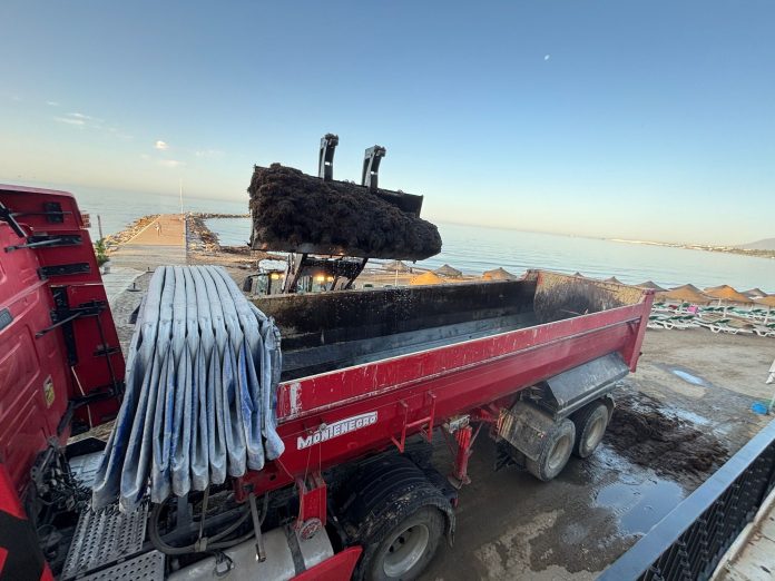 Algenplage Costa del Sol