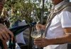 Weinprobe Costa del Sol
