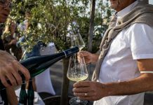 Weinprobe Costa del Sol