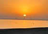 Schönste Sonnenuntergänge im Herbst in Málaga
