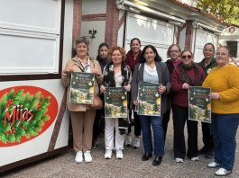 Weihnachtsmarkt Mijas