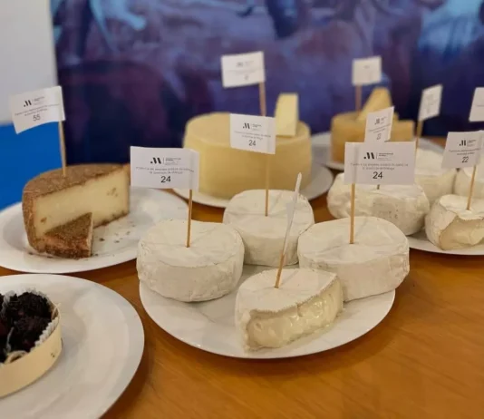 Beste Käsesorte aus Málaga