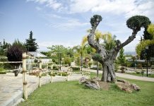 Japanischer Garten in Alhaurín de la Torre