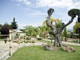 Japanischer Garten in Alhaurín de la Torre