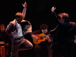 Flamenco in Torrox