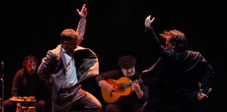 Flamenco in Torrox