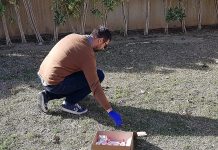 DNA Hunderegister an der Costa del Sol