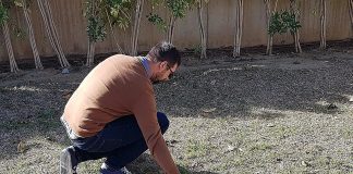 DNA Hunderegister an der Costa del Sol