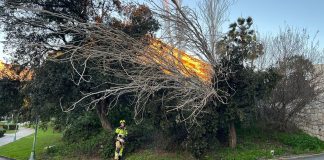 Viel Sonne, aber eisiger Wind – Dreikönigstag war kältester Tag der vergangenen Jahre Wetter Costa del Sol