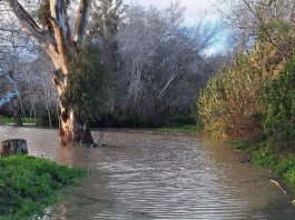 Hochwasser Guadiaro