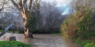 Hochwasser Guadiaro