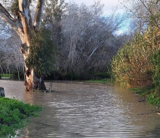 Hochwasser Guadiaro