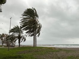 Sturmtief Nils in Málaga
