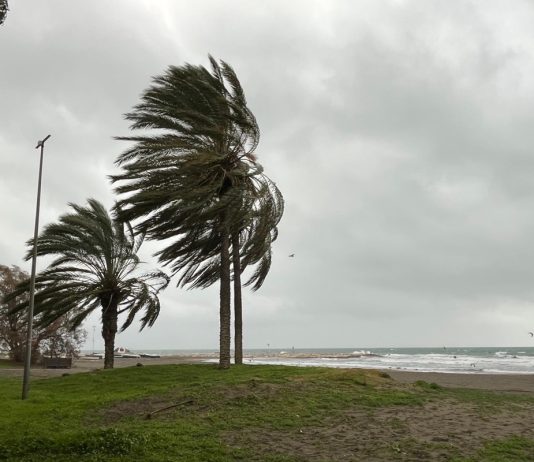 Windwarnung Málaga