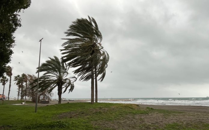 Unwetter in Málaga Unwetter in Málaga