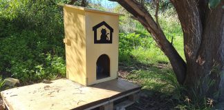 Straßenkatzen Alhaurín de la Torre