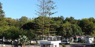 Projekte El Fuerte Marbella