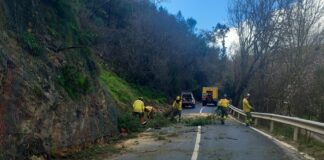 Hochwasser in Andalusien: Notfallagentur EMA weiterhin im Einsatz Hochwasser in Andalusien