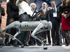 Transfiere 2026 Málaga