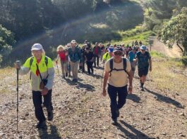 Vereine in der Axarquía