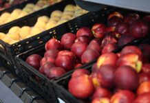 Aldi Obst und Gemüse