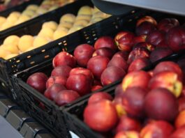 Aldi Obst und Gemüse