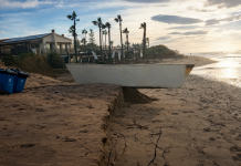 Marbella Strandreinigung