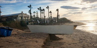 Marbella Strandreinigung