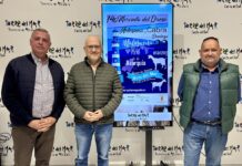 Käsemarkt in Torre del Mar