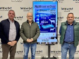 Käsemarkt in Torre del Mar