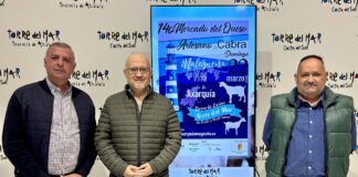 Käsemarkt in Torre del Mar